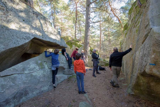 52115626_2265329870185439_4235616697714737152_n