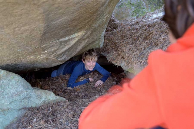 52555161_2265329383518821_8456422634500915200_n