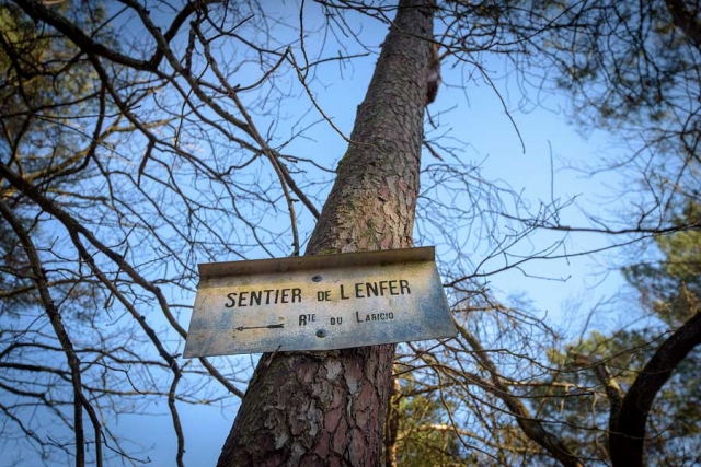 52893742_2265329353518824_3406684921505251328_n